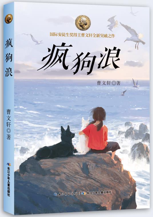 《疯狗浪》书封