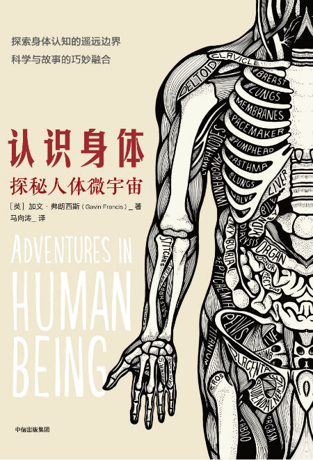 《认识身体》:像故事书一样引人入胜的人体科普书-橙瓜