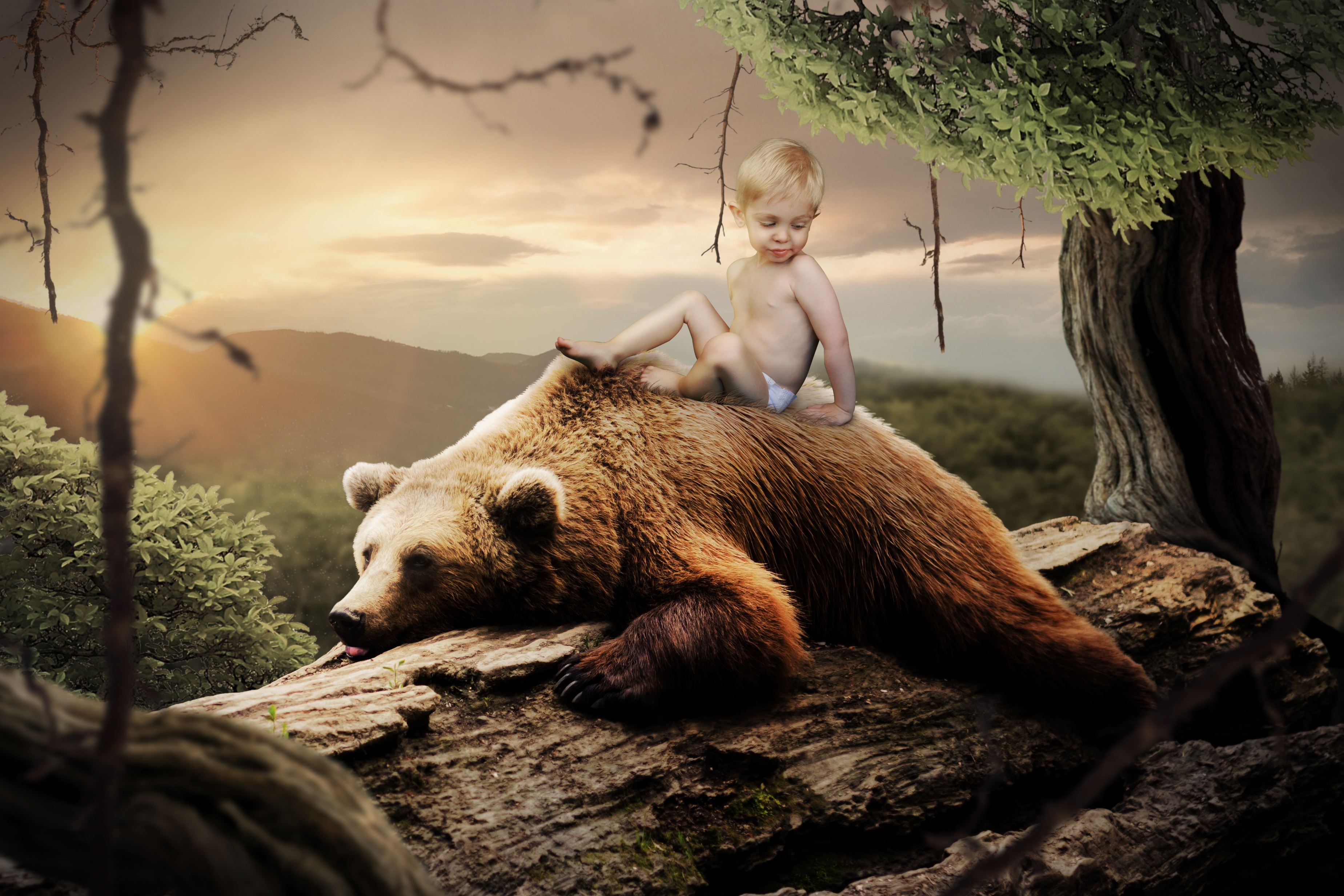 的阿呆,在一次行窃之时被强大的炼金术士哥里斯因为某种目的带走了